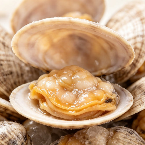 Frozen Clams, Sand-Free