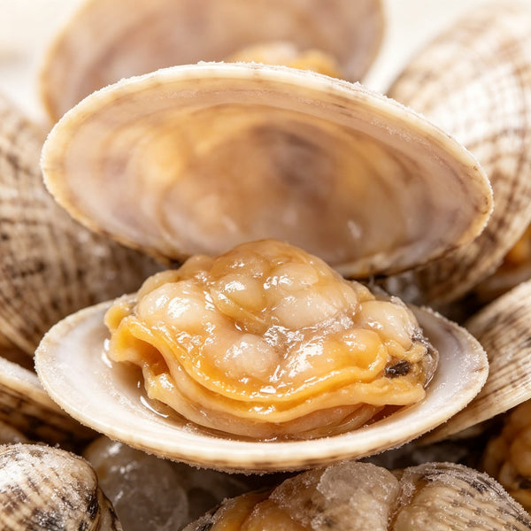 Frozen Clams, Sand-Free